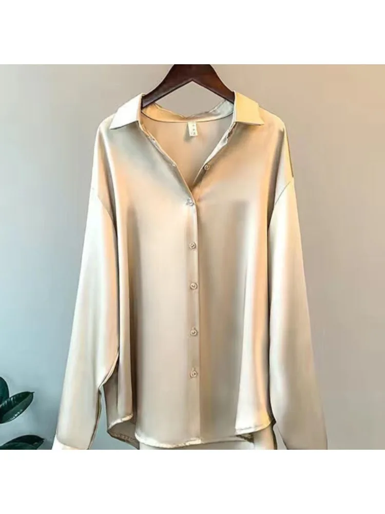 Artı Boyutu Rahat Kadın Ipek G - Silk Blouse Button incelemesi ve fiyatı